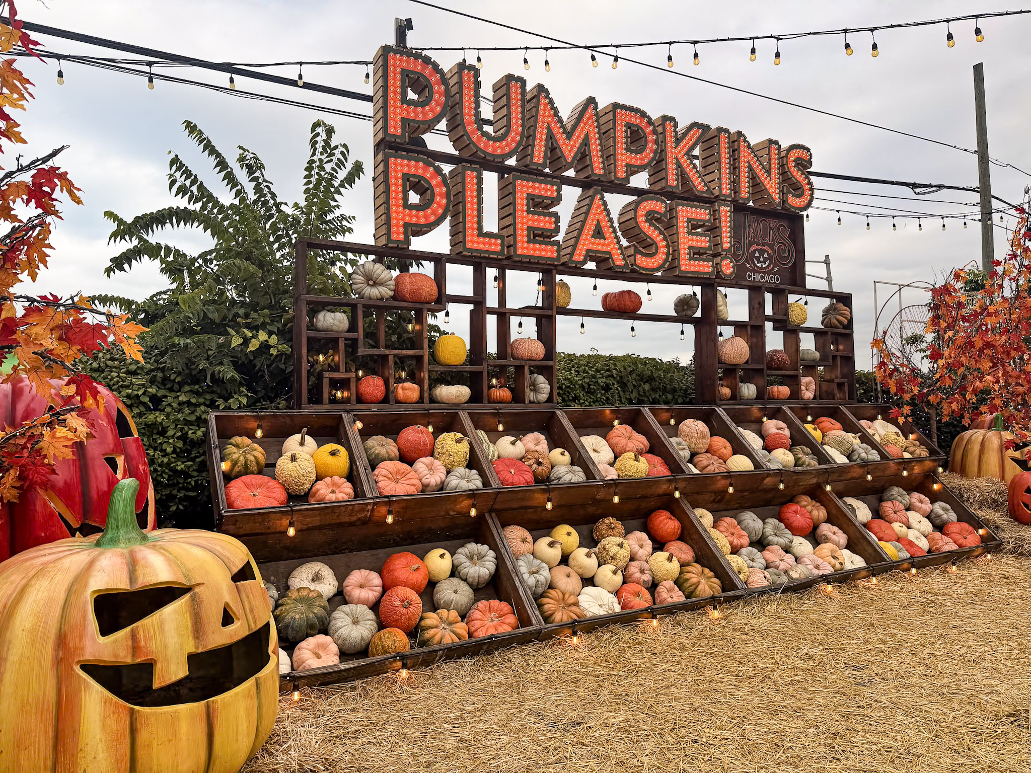 Jack’s Pumpkin Patch photograph 2 by Jonathan Sullivan