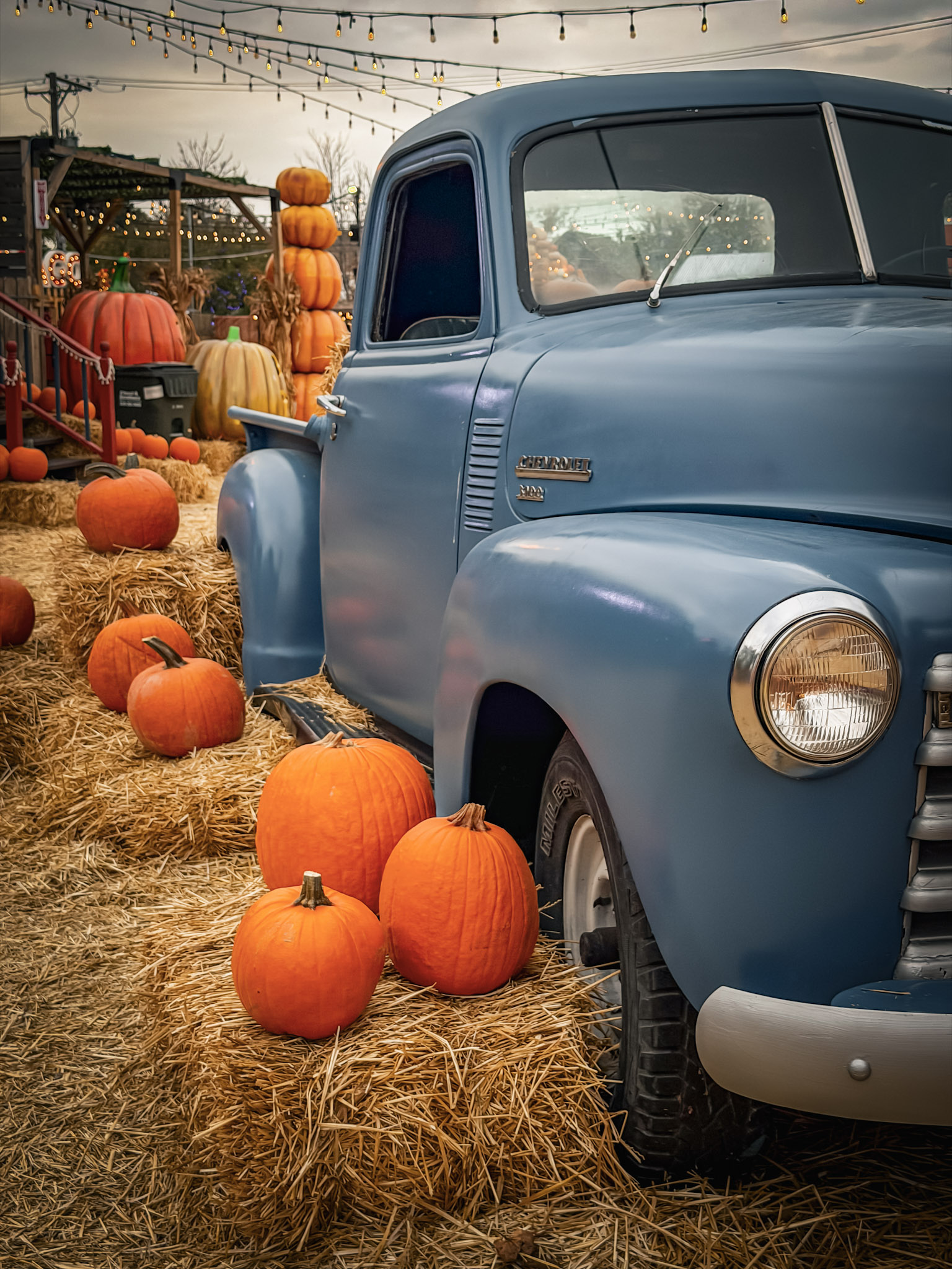 Jack’s Pumpkin Patch photograph 5 by Jonathan Sullivan