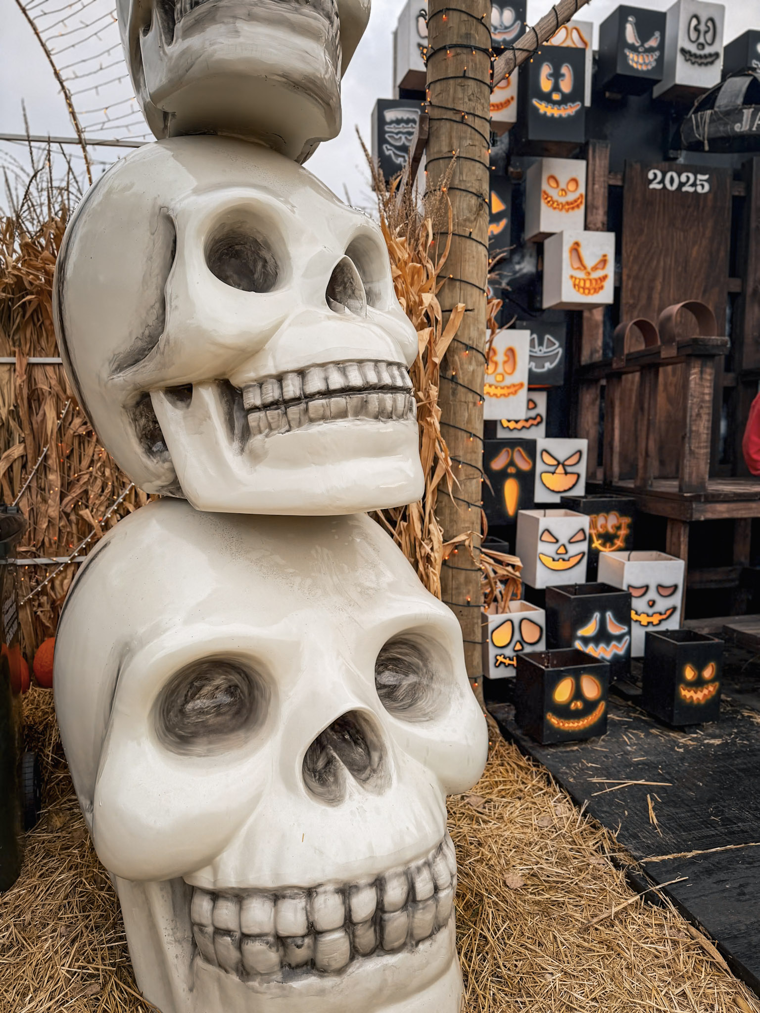 Jack’s Pumpkin Patch photograph 13 by Jonathan Sullivan