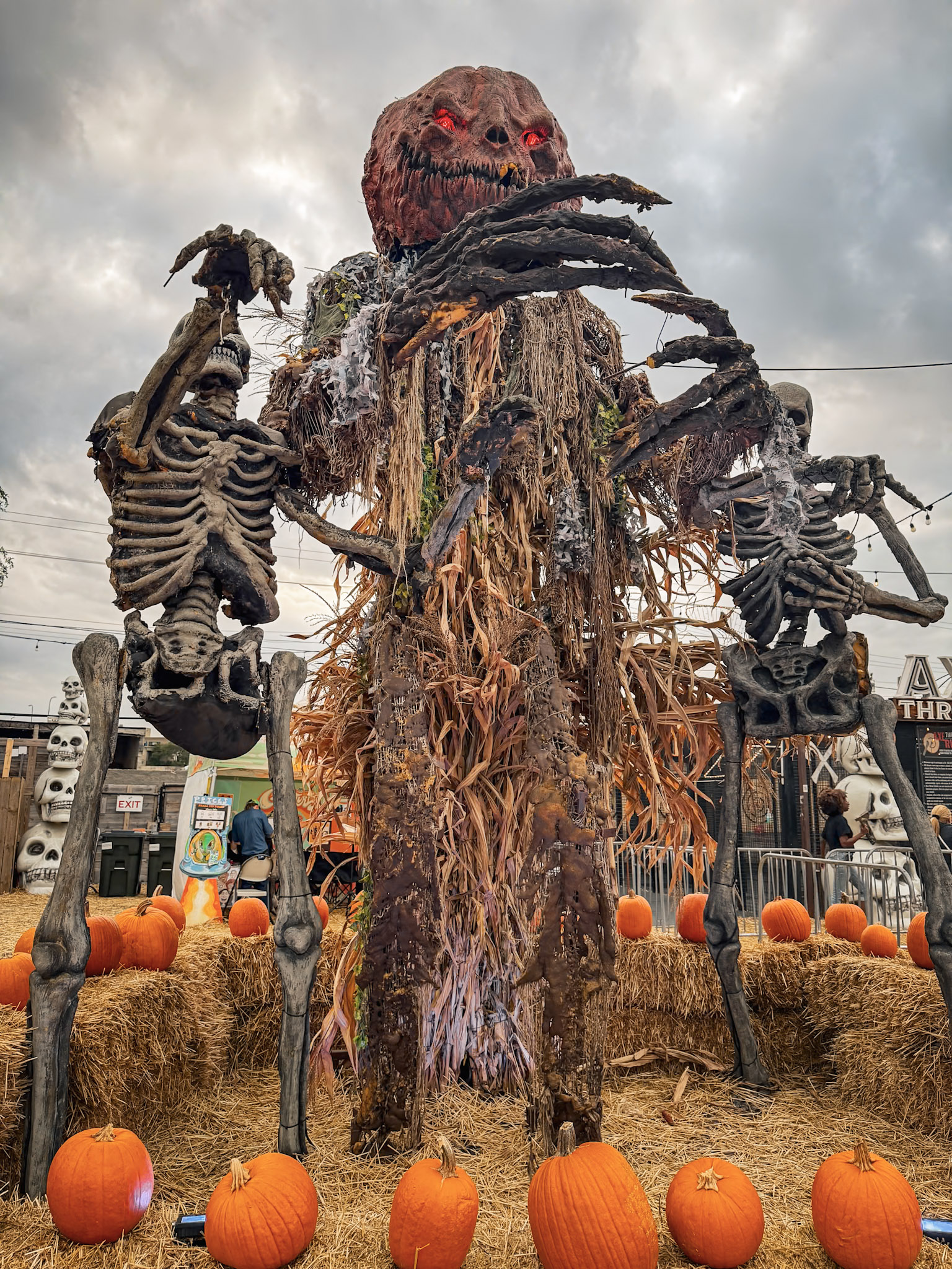 Jack’s Pumpkin Patch photograph 14 by Jonathan Sullivan