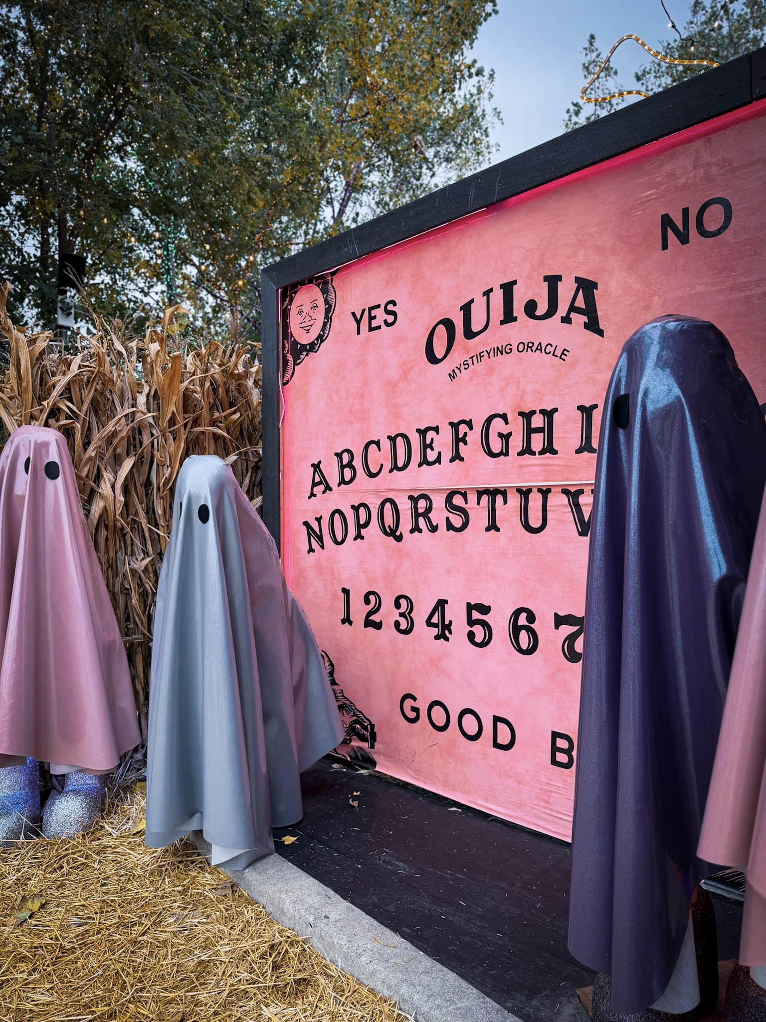 Jack’s Pumpkin Patch photograph 7 by Jonathan Sullivan