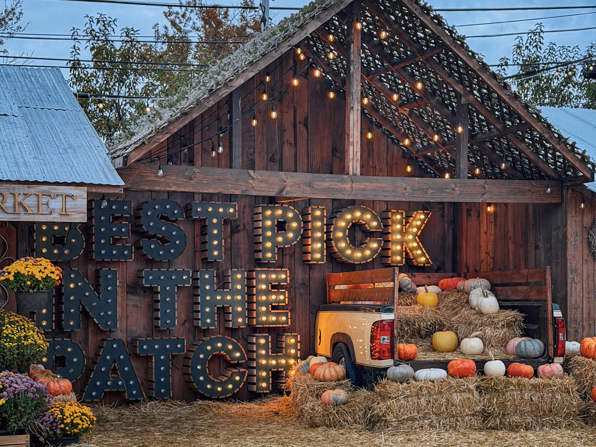 Jack’s Pumpkin Patch photograph 12 by Jonathan Sullivan