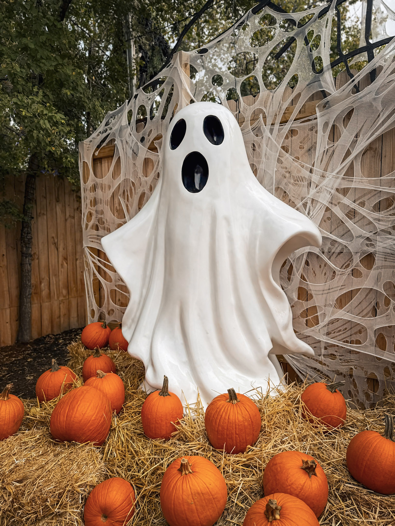 Jack’s Pumpkin Patch photograph 23 by Jonathan Sullivan