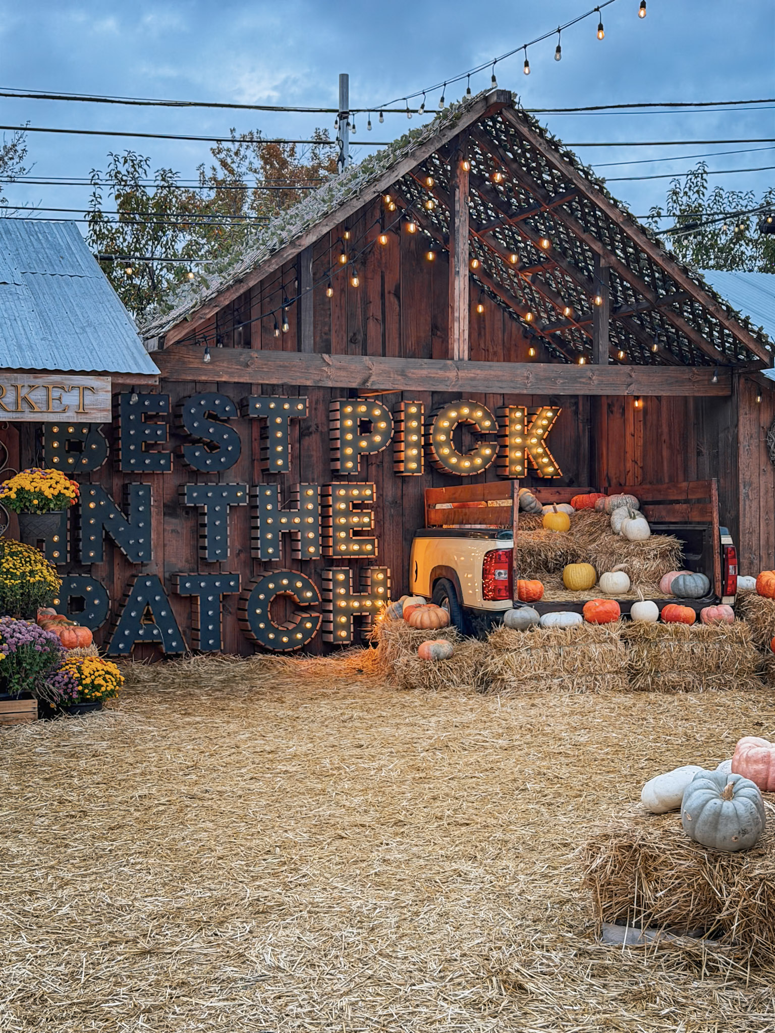 Jack’s Pumpkin Patch photograph 11 by Jonathan Sullivan