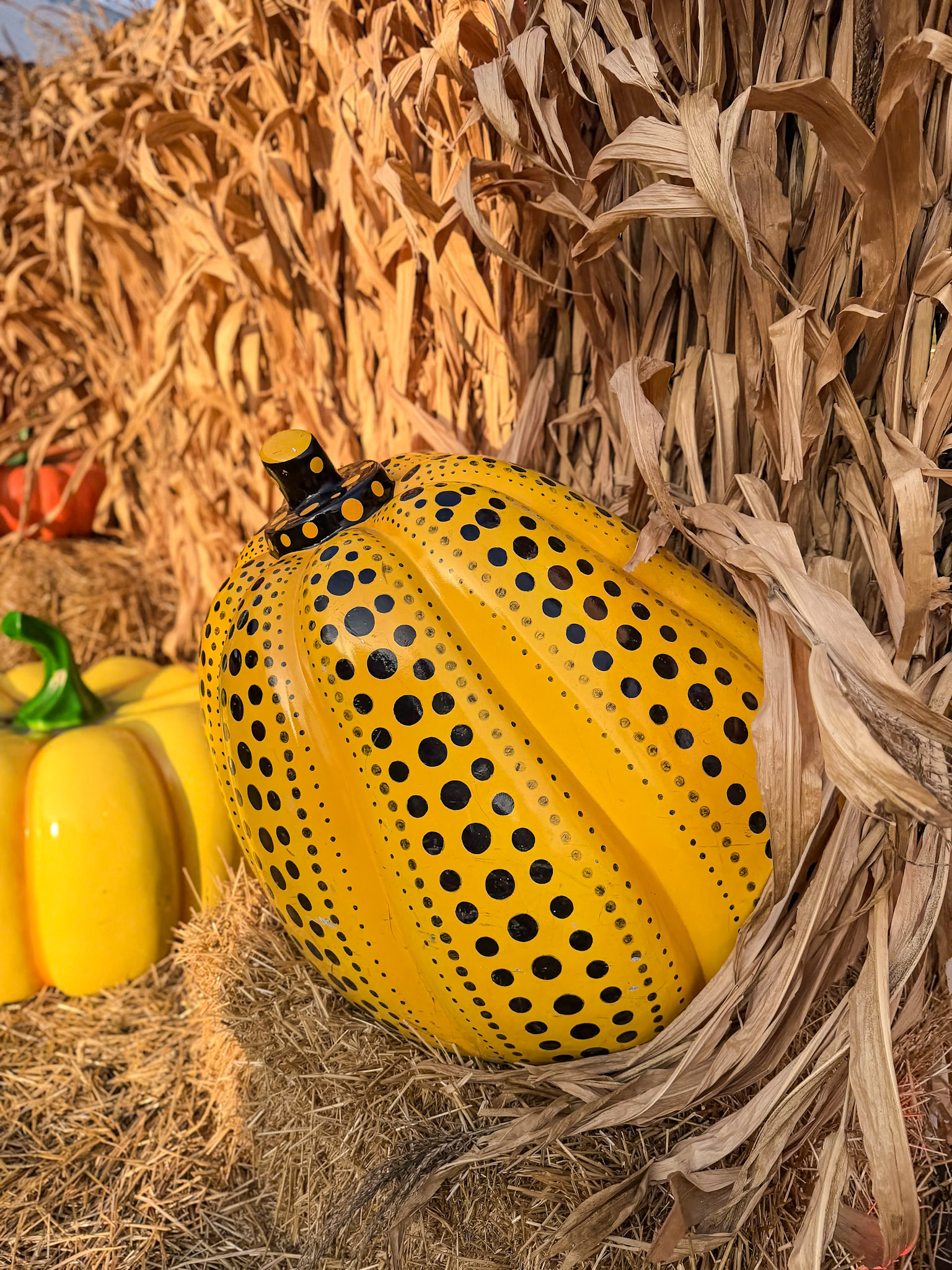 Jack’s Pumpkin Patch photograph 24 by Jonathan Sullivan