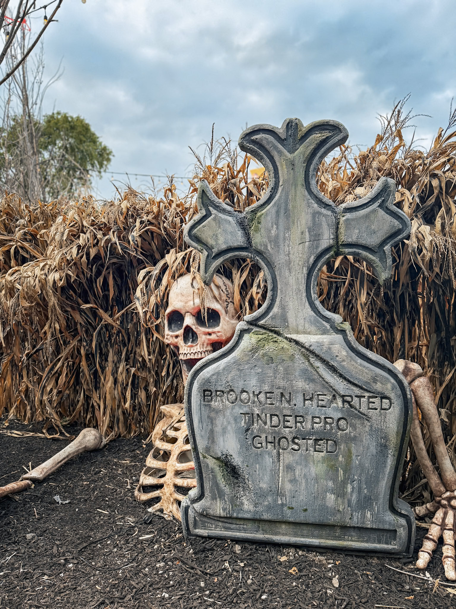 Jack’s Pumpkin Patch photograph 21 by Jonathan Sullivan