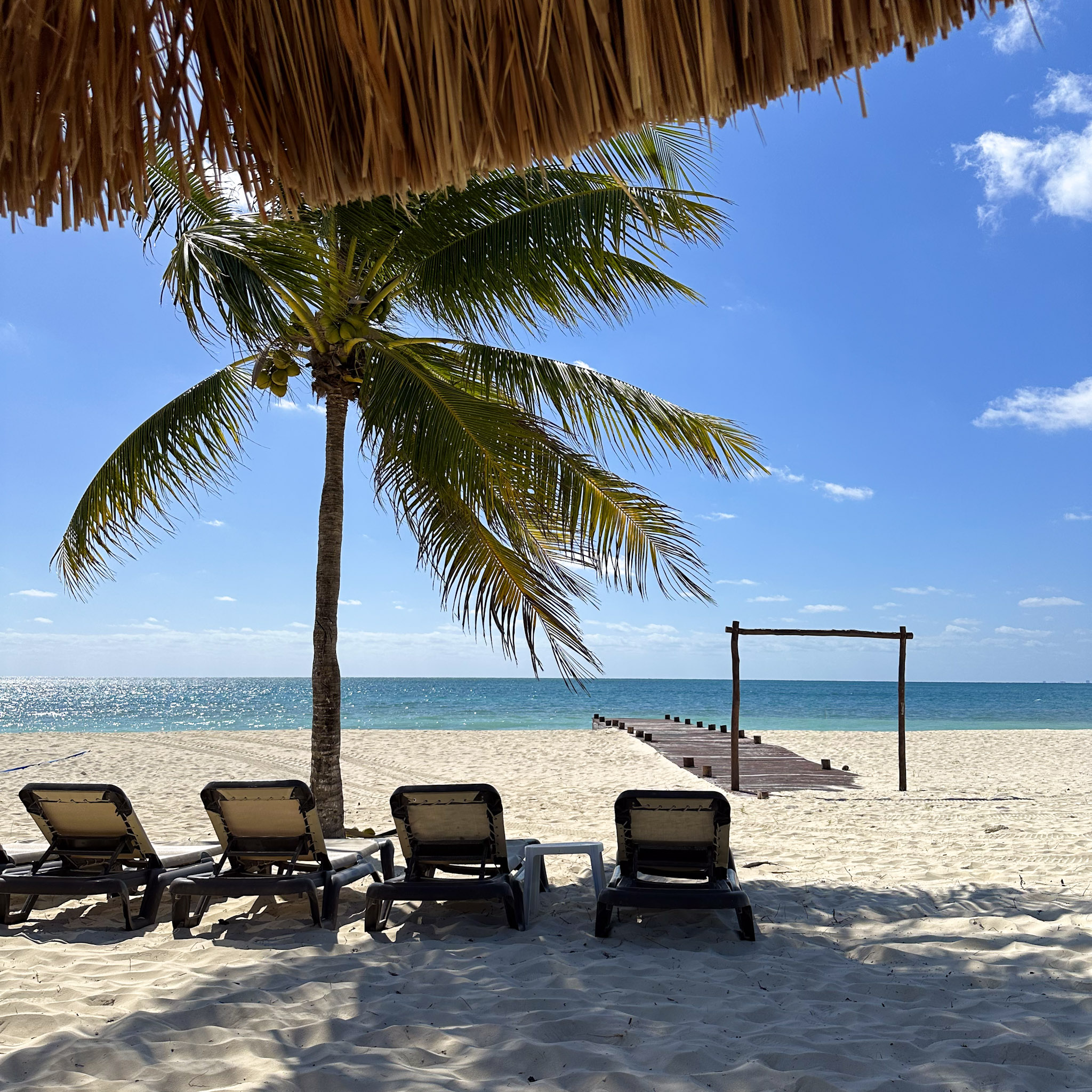 Playa Del Carmen Mexico 2023 photography gallery cover